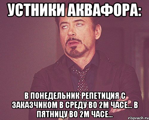 УСТНИКИ АКВАФОРА: В ПОНЕДЕЛЬНИК РЕПЕТИЦИЯ С ЗАКАЗЧИКОМ В СРЕДУ ВО 2м ЧАСЕ... В ПЯТНИЦУ ВО 2м ЧАСЕ..., Мем твое выражение лица