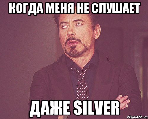 Когда меня не слушает даже Silver, Мем твое выражение лица