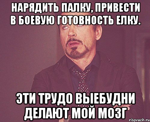 Нарядить палку, привести в боевую готовность елку. Эти трудо выебудни делают мой мозг, Мем твое выражение лица