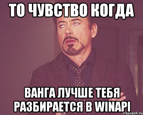 ТО ЧУВСТВО КОГДА ВАНГА ЛУЧШЕ ТЕБЯ РАЗБИРАЕТСЯ В WINAPI, Мем твое выражение лица