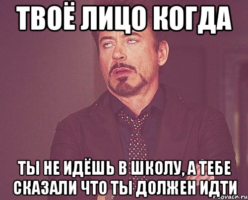 твоё лицо когда ты не идёшь в школу, а тебе сказали что ты должен идти, Мем твое выражение лица