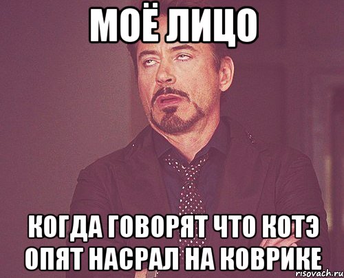 Моё лицо Когда говорят что котэ опят насрал на коврике, Мем твое выражение лица