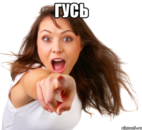 гусь 