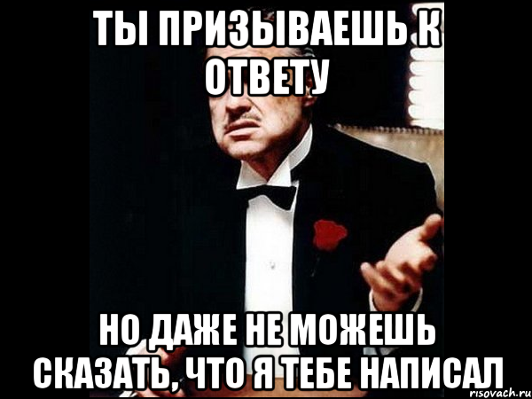 Ты призываешь к ответу но даже не можешь сказать, что я тебе написал, Мем ты делаешь это без уважения