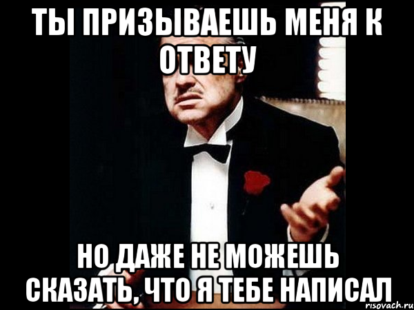 Ты призываешь меня к ответу но даже не можешь сказать, что я тебе написал, Мем ты делаешь это без уважения