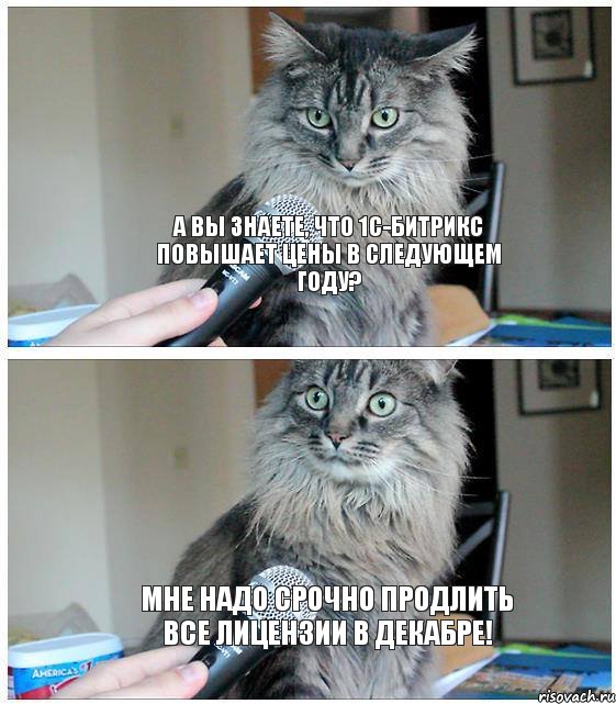 А вы знаете, что 1С-Битрикс повышает цены в следующем году? Мне надо срочно продлить все лицензии в декабре!, Комикс  кот с микрофоном