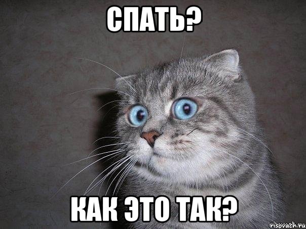 спать? Как это так?