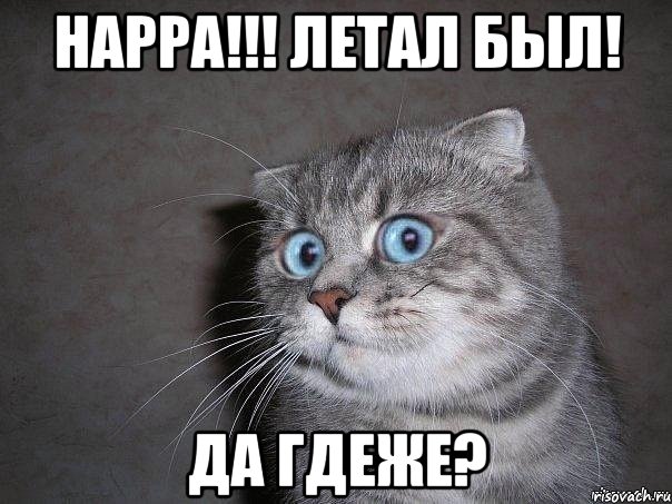 Happa!!! Летал был! Да гдеже?