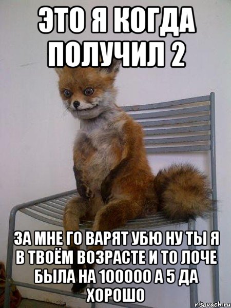 это я когда получил 2 за мне го варят убю ну ты я в твоём возрасте и то лоче была на 100000 а 5 да хорошо, Мем Упоротая лиса