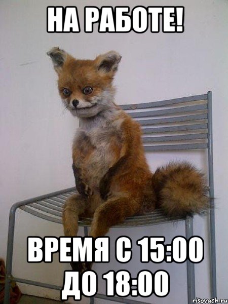 НА РАБОТЕ! ВРЕМЯ С 15:00 ДО 18:00, Мем Упоротая лиса