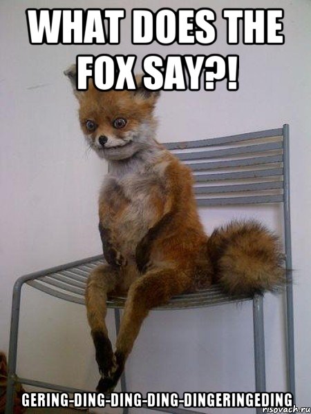 What does the fox say?! Gering-ding-ding-ding-dingeringeding, Мем Упоротая лиса