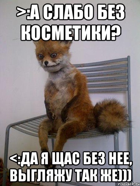 >:А слабо без косметики? <:Да я щас без нее, выгляжу так же))), Мем Упоротая лиса