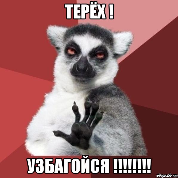 Терёх ! Узбагойся !!!!!!!!, Мем Узбагойзя