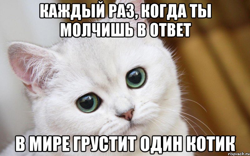 КАЖДЫЙ РАЗ, КОГДА ТЫ МОЛЧИШЬ В ОТВЕТ В МИРЕ ГРУСТИТ ОДИН КОТИК, Мем  В мире грустит один котик