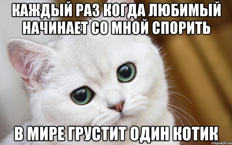 Каждый раз когда Любимый начинает со мной спорить В мире грустит один котик, Мем  В мире грустит один котик