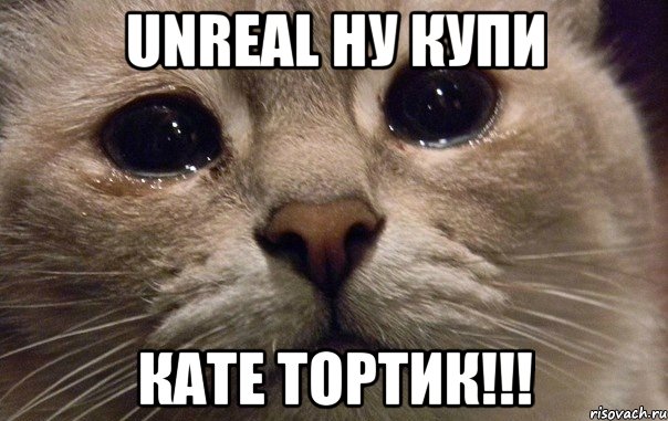 UNREAL ну купи КАТЕ ТОРТИК!!!, Мем   В мире грустит один котик