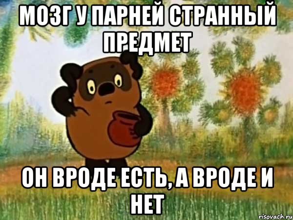 Мозг у парней странный предмет он вроде есть, а вроде и нет, Мем Винни пух чешет затылок