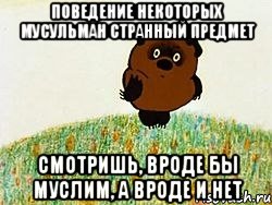 Поведение некоторых мусульман странный предмет Смотришь, вроде бы муслим, а вроде и нет, Мем ВИННИ ПУХ