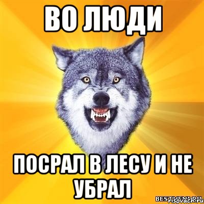 во люди посрал в лесу и не убрал, Мем Волк