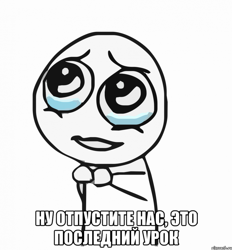  НУ ОТПУСТИТЕ НАС, ЭТО ПОСЛЕДНИЙ УРОК, Мем  ну пожалуйста (please)