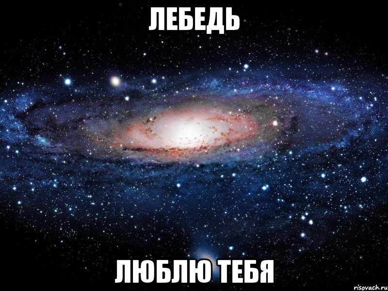 лебедь люблю тебя, Мем Вселенная