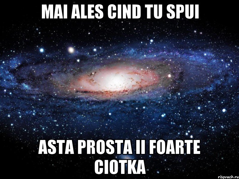 Mai ales cind tu spui asta prosta ii foarte ciotka, Мем Вселенная