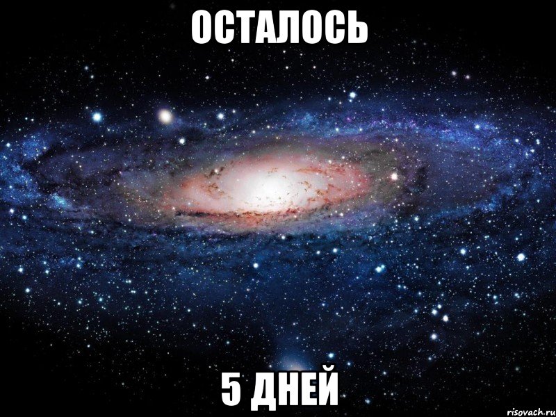 Осталось 5 дней, Мем Вселенная