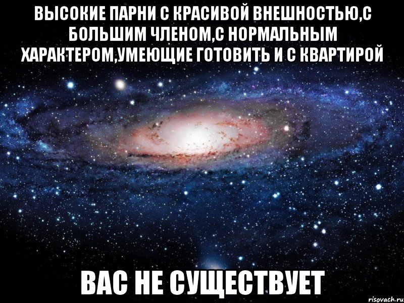 высокие парни с красивой внешностью,с большим членом,с нормальным характером,умеющие готовить и с квартирой ВАС НЕ СУЩЕСТВУЕТ, Мем Вселенная