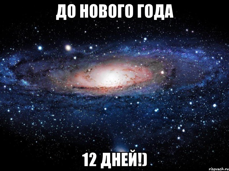 до Нового Года 12 Дней!), Мем Вселенная