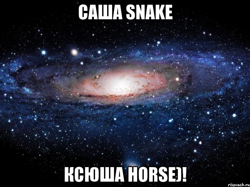 Саша snake Ксюша horse)!, Мем Вселенная