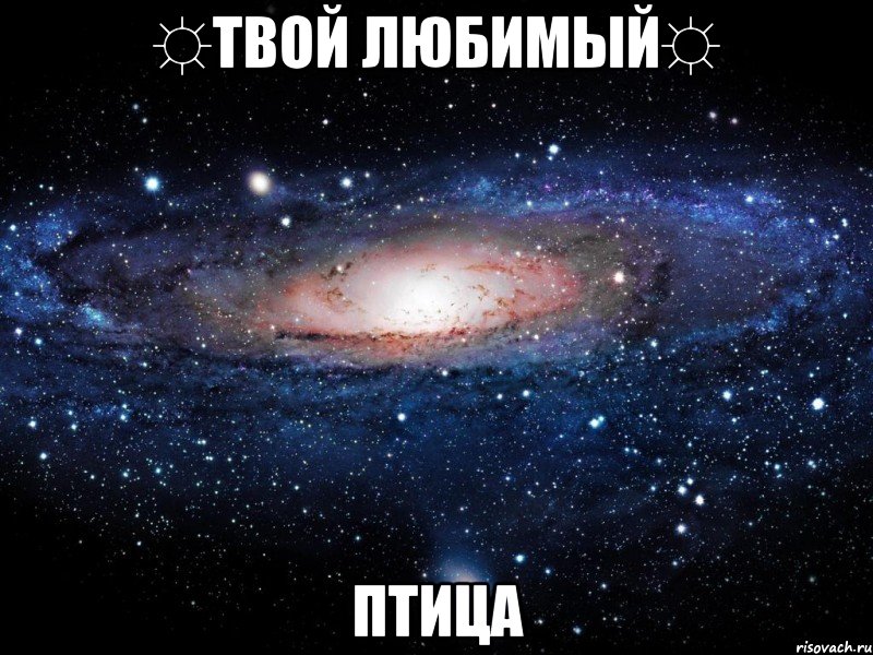 ☼ТВОЙ ЛЮБИМЫЙ☼ ПТИЦА, Мем Вселенная