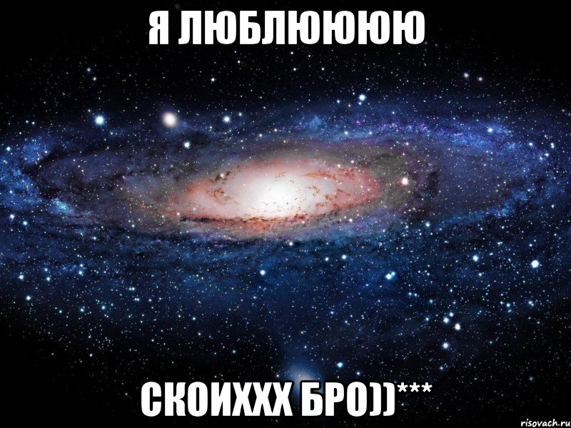 Я люблЮЮЮЮ скоиххх Бро))***, Мем Вселенная