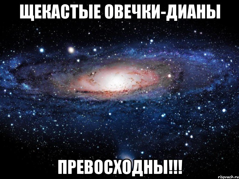 Щекастые овечки-дианы превосходны!!!, Мем Вселенная