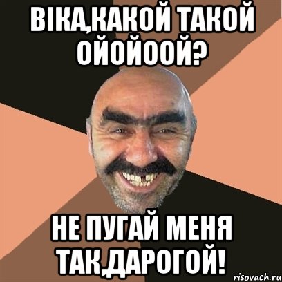 Віка,какой такой ойойоой? не пугай меня так,дарогой!, Мем Я твой дом труба шатал