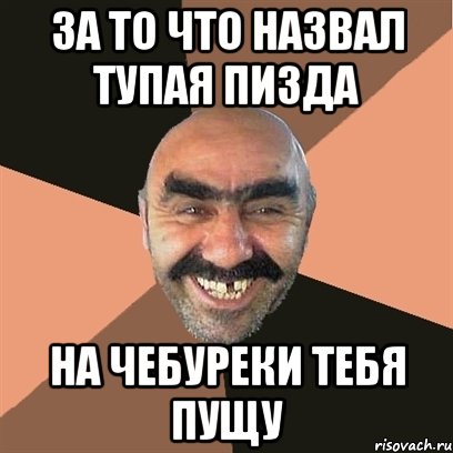 за то что назвал тупая пизда на чебуреки тебя пущу, Мем Я твой дом труба шатал