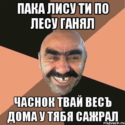 пака лису ти по лесу ганял часнок твай весъ дома у тябя сажрал, Мем Я твой дом труба шатал