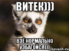 Витек))) Взё нормально Узбагойся))), Мем Я збагоен