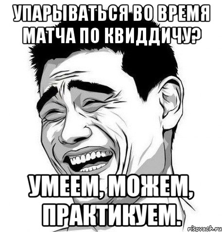 упарываться во время матча по квиддичу? Умеем, можем, практикуем., Мем Яо Мин