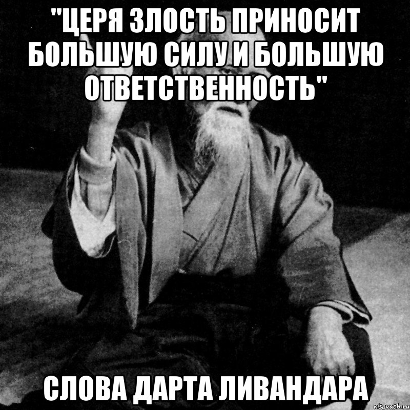 "церя злость приносит большую силу и большую ответственность" слова дарта ливандара, Мем Монах-мудрец (сэнсей)