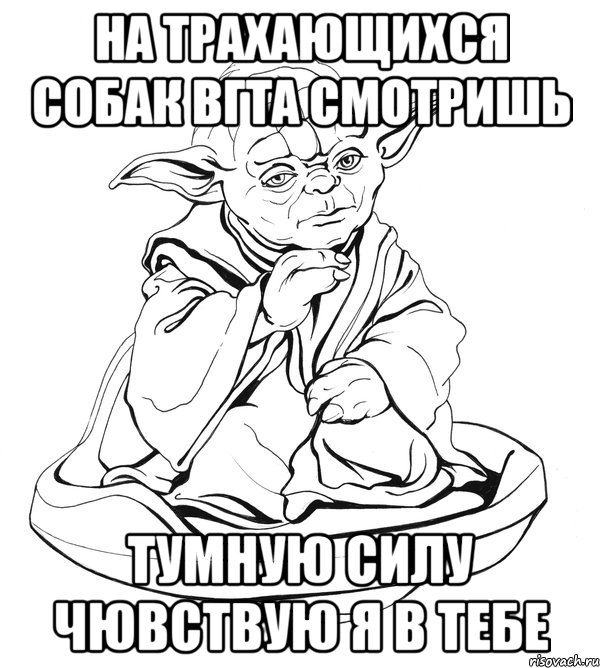 на трахающихся собак вГТА смотришь тумную силу чювствую я в тебе, Мем Мастер Йода