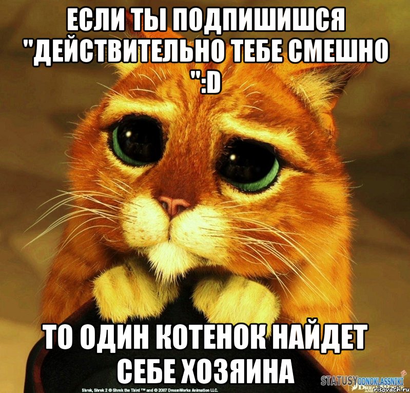 Если ты подпишишся "Действительно тебе смешно ":D То один котенок найдет себе хозяина, Мем Котик из Шрека