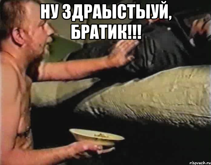 Ну здраыстыуй, братик!!! , Мем Зеленый слоник