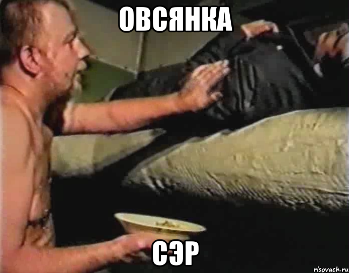 овсянка сэр, Мем Зеленый слоник