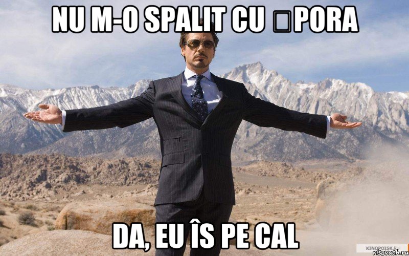 Nu m-o spalit cu șpora Da, eu îs pe cal, Мем железный человек