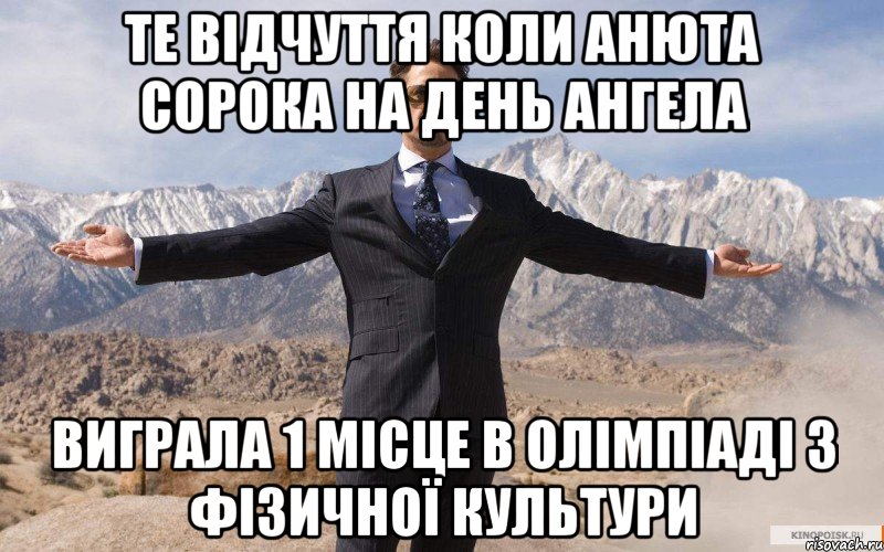 Те відчуття коли Анюта Сорока на день Ангела Виграла 1 місце в олімпіаді з Фізичної Культури, Мем железный человек