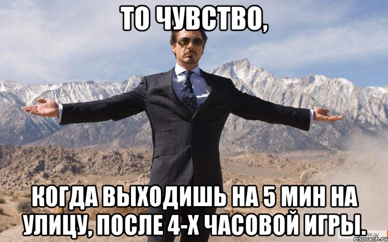 То чувство, когда выходишь на 5 мин на улицу, после 4-х часовой игры., Мем железный человек