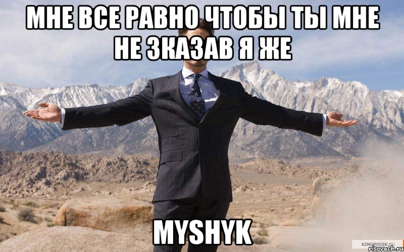 мне все равно чтобы ты мне не зказав я же Myshyk, Мем железный человек