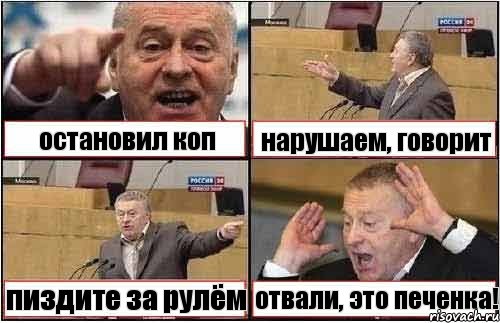 остановил коп нарушаем, говорит пиздите за рулём отвали, это печенка!, Комикс жиреновский