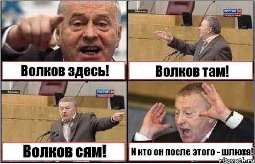 Волков здесь! Волков там! Волков сям! И кто он после этого - шлюха!, Комикс жиреновский