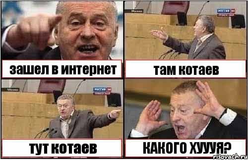 зашел в интернет там котаев тут котаев КАКОГО ХУУУЯ?, Комикс жиреновский